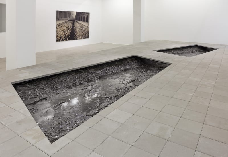 2 rectangular cutouts in the floor reveal a system of shiny, cast roots that appear to be in water.