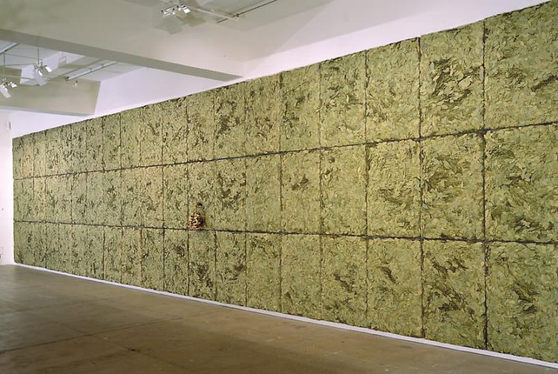 Giuseppe Penone, Respirare L'Ombra (To Breathe the Shadow), 1998