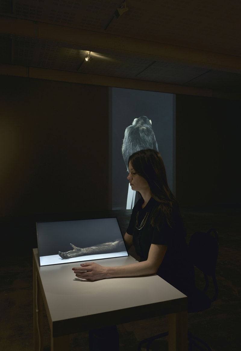 An exhibition installation view from: Eija-Liisa Ahtila, Potentiality for Love