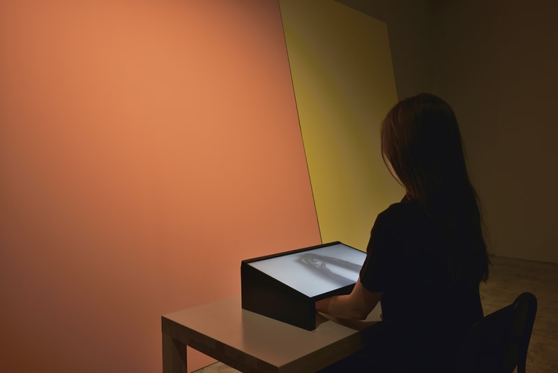 An exhibition installation view from: Eija-Liisa Ahtila, Potentiality for Love