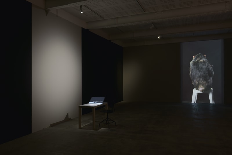 An exhibition installation view from: Eija-Liisa Ahtila, Potentiality for Love