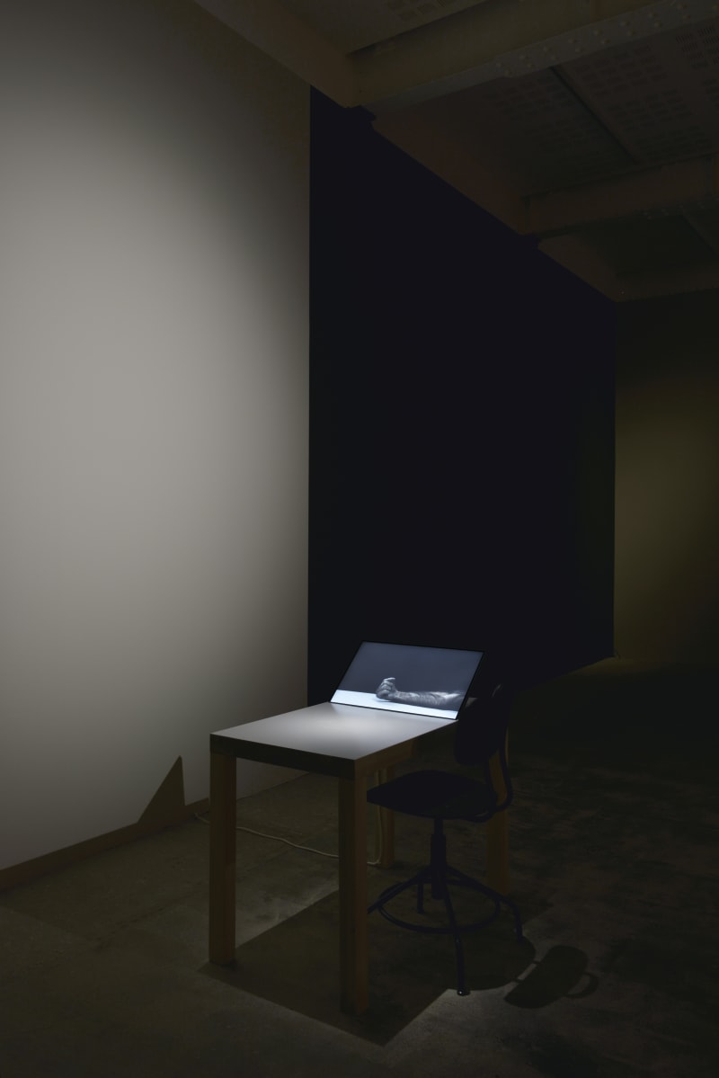 An exhibition installation view from: Eija-Liisa Ahtila, Potentiality for Love