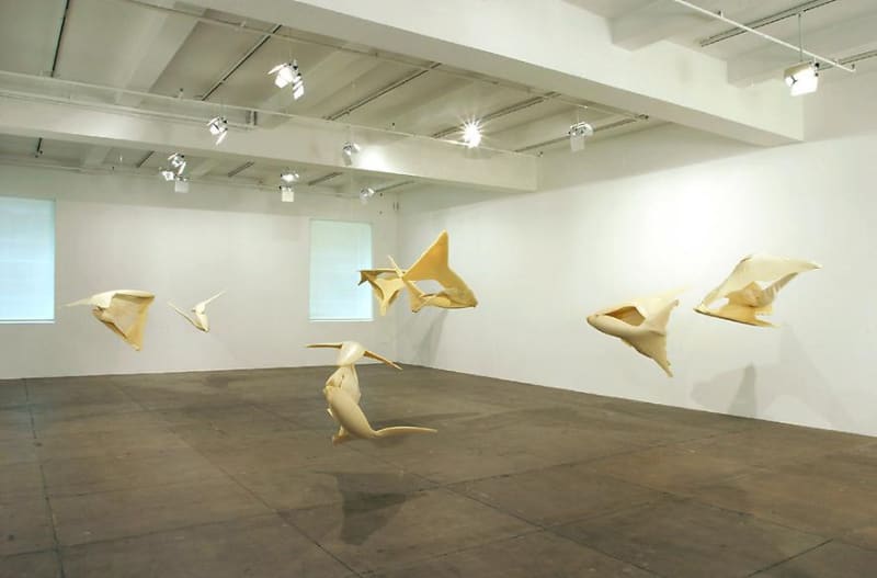 An exhibition installation view from: Gabriel Orozco