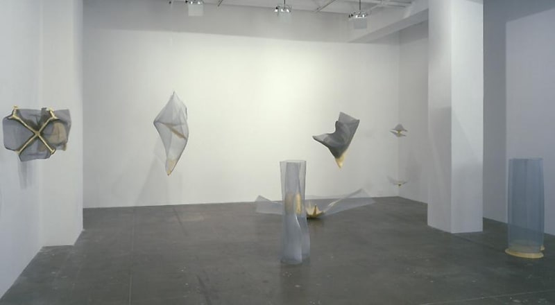 An exhibition installation view from: Gabriel Orozco