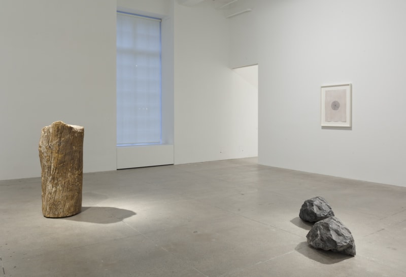 An exhibition installation view from: Giuseppe Penone,  A Question of Identity
