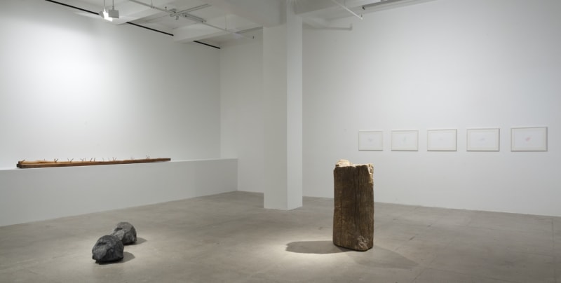 An exhibition installation view from: Giuseppe Penone,  A Question of Identity