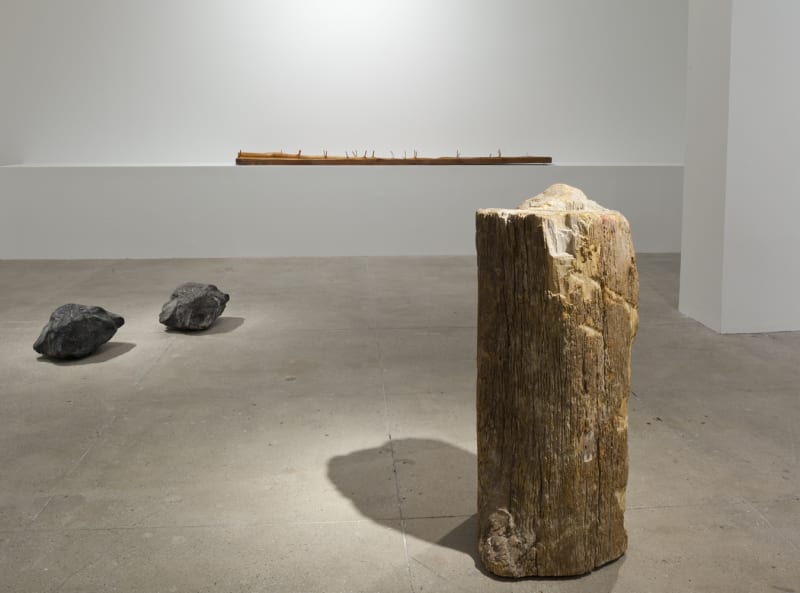 An exhibition installation view from: Giuseppe Penone,  A Question of Identity