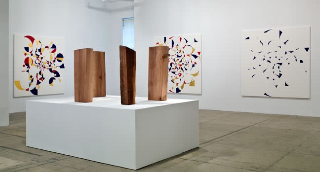 An exhibition installation view from: Gabriel Orozco