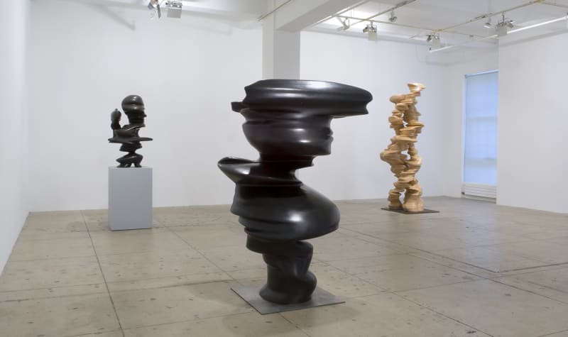 An exhibition installation view from: Tony Cragg