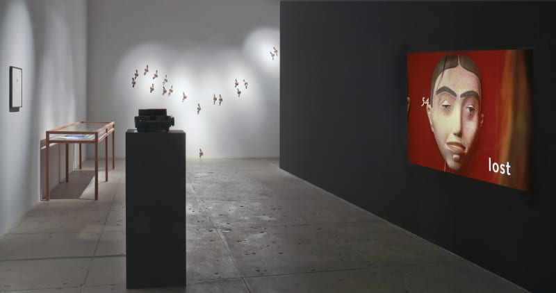 Installation view of Lothar Baumgarten's projection