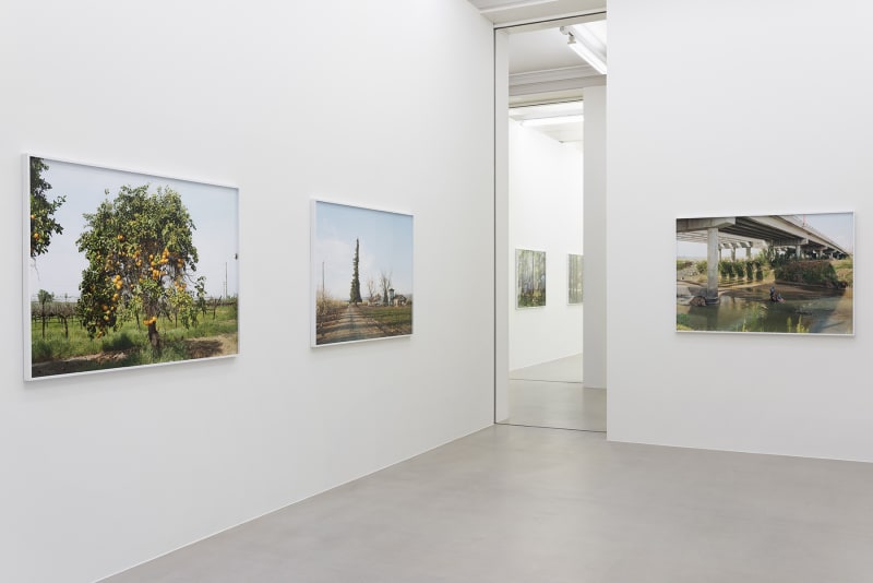 An exhibition installation view from: An-My Lê, Silent General