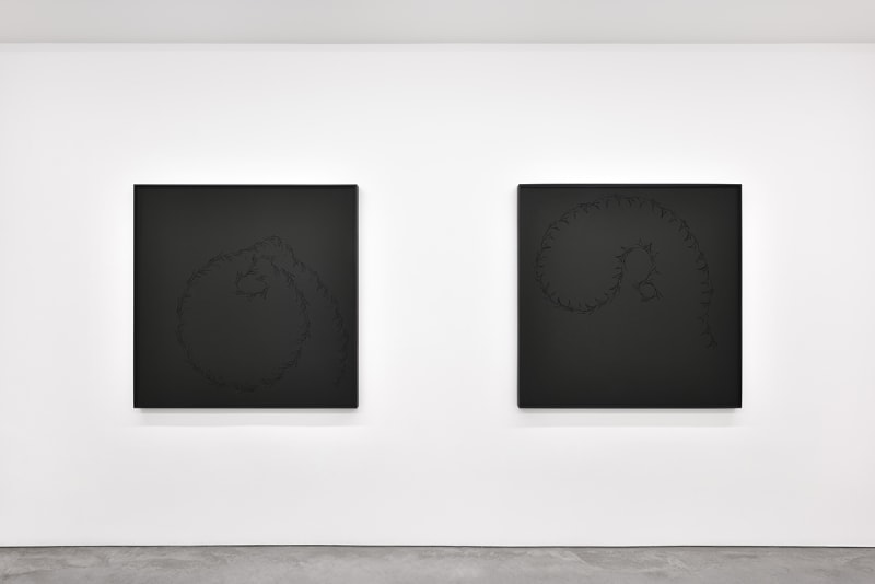 An exhibition installation view from: STPI Prints (Deacon, Lim, Sala, Tiravanija)