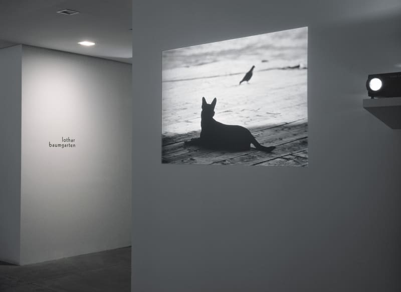 An exhibition installation view from: Lothar Baumgarten
