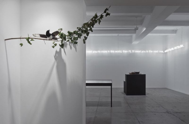 An exhibition installation view from: Sunset Décor - Curated by Magalí Arriola