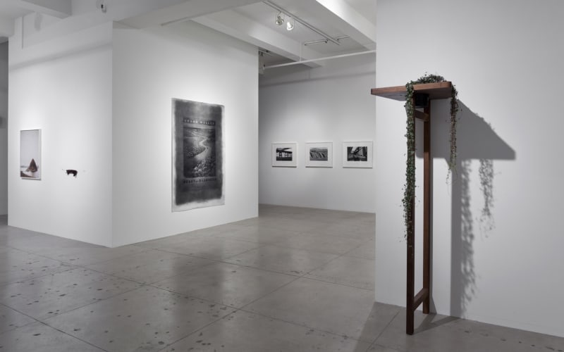 An exhibition installation view from: Sunset Décor - Curated by Magalí Arriola