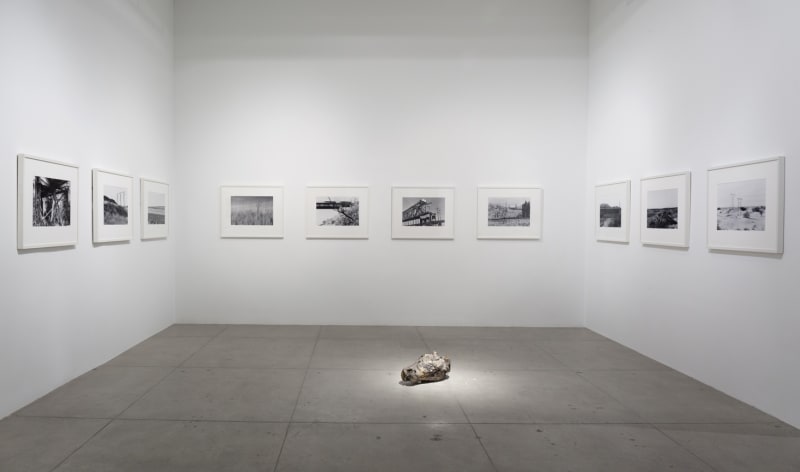 An exhibition installation view from: Sunset Décor - Curated by Magalí Arriola