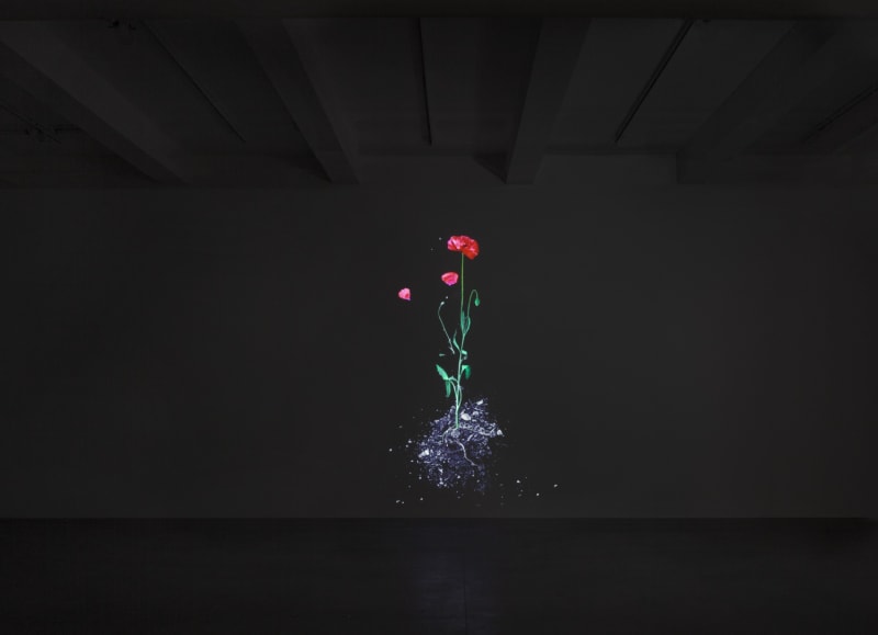 An exhibition installation view from: James Coleman