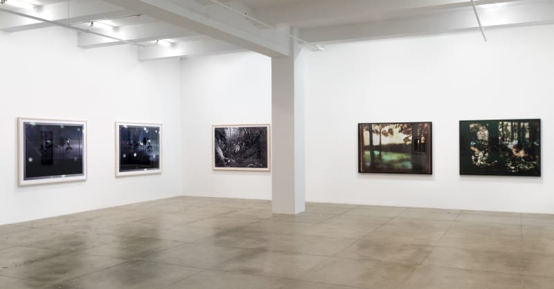 An exhibition installation view from: Summer Selections