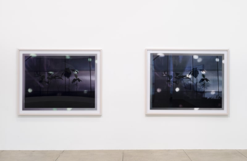 An exhibition installation view from: Summer Selections