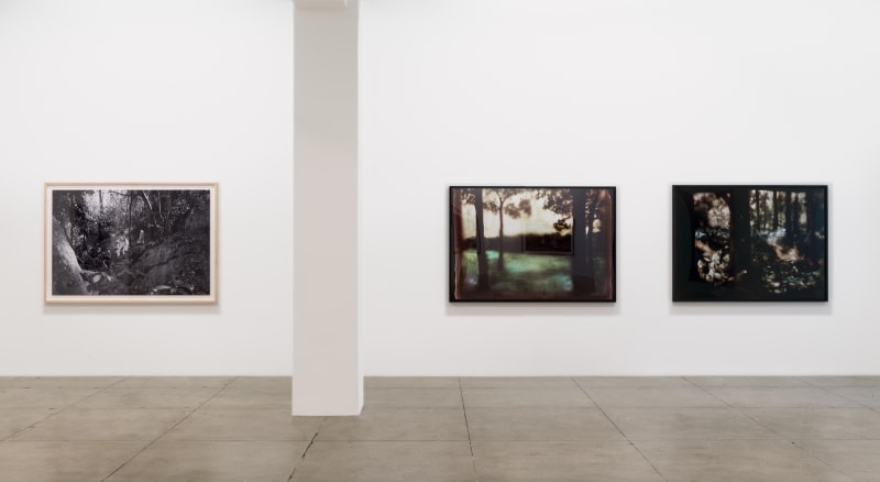 An exhibition installation view from: Summer Selections