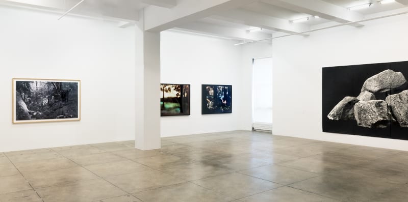 An exhibition installation view from: Summer Selections