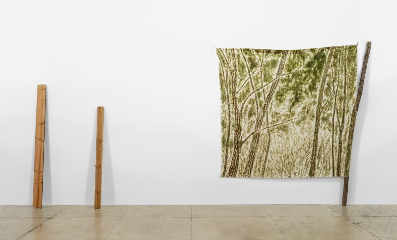 An exhibition installation view from: Summer Selections