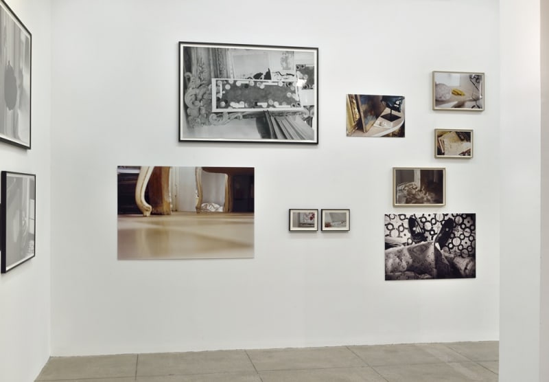 An exhibition installation view from: Tacita Dean, … my English breath in foreign clouds