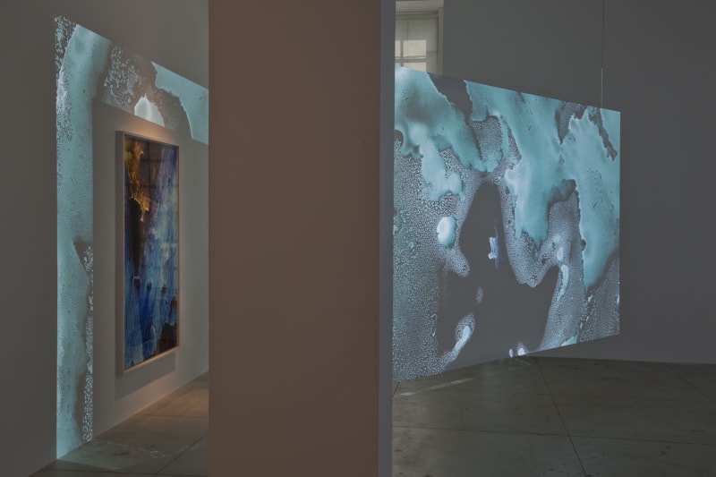 An exhibition installation view from: Matt Saunders