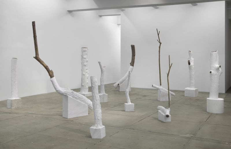 Giuseppe Penone - Albero folgorato (Thunderstruck Tree