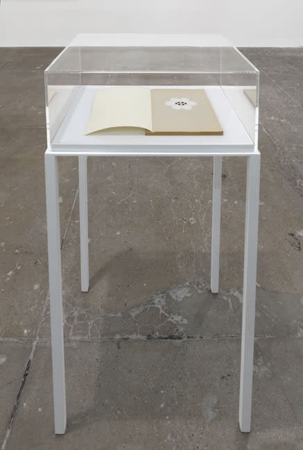 An exhibition installation view from: Gabriel Orozco, thinking in circles