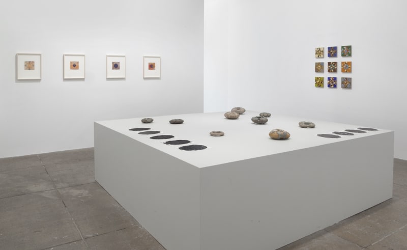 An exhibition installation view from: Gabriel Orozco, thinking in circles