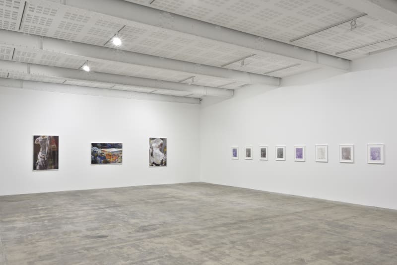 An exhibition installation view from: James Welling, The Earth, the Temple and the Gods