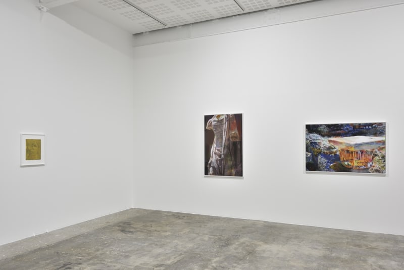 An exhibition installation view from: James Welling, The Earth, the Temple and the Gods