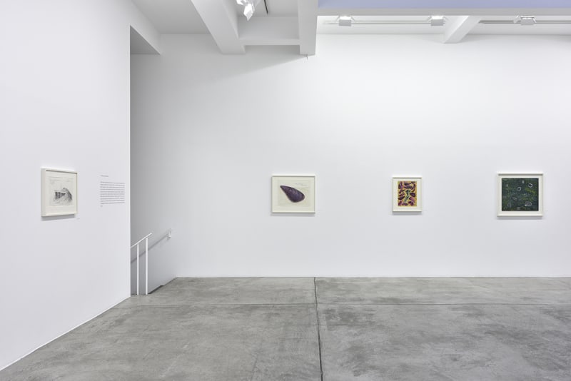 Robert Smithson's drawings installed in Marian Goodman Gallery, Paris