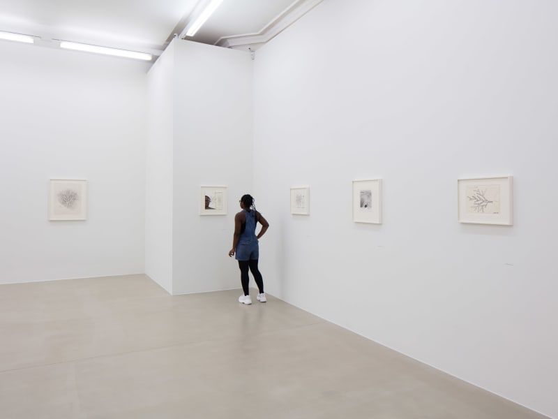 An exhibition installation view from: Robert Smithson, Hypothetical Islands