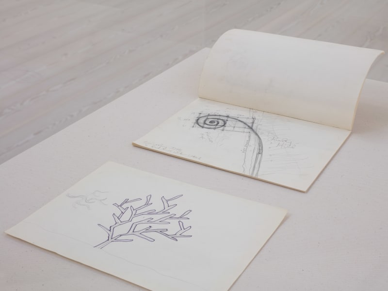 An exhibition installation view from: Robert Smithson, Hypothetical Islands