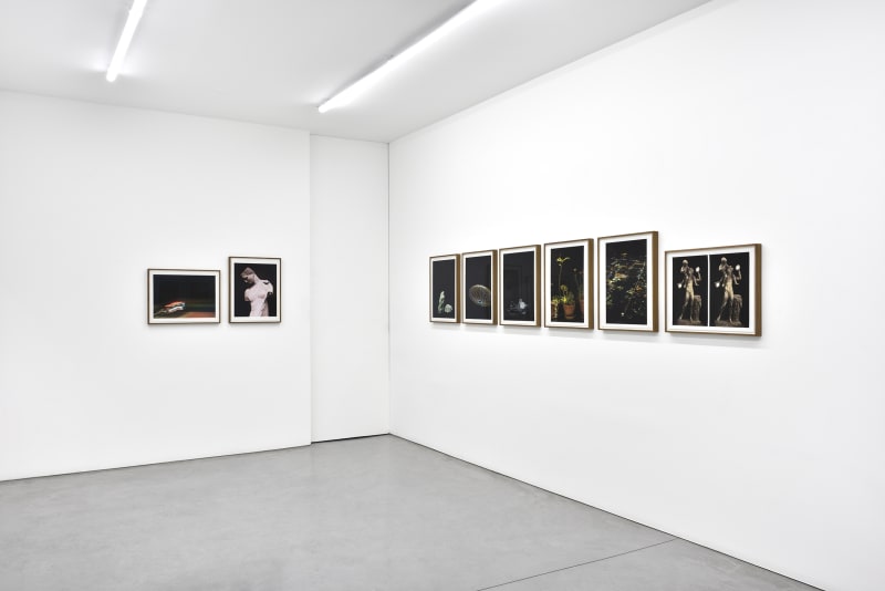 Installation view of framed photographs by Luciano Perna at Librairie Marian Goodman, January 2021
