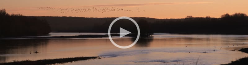 Loire at Chouzy - Ouest : 24 Hour Film, 2019