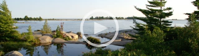 Vanessa's Pool : 13 Hour Film (Horizontal), 2018