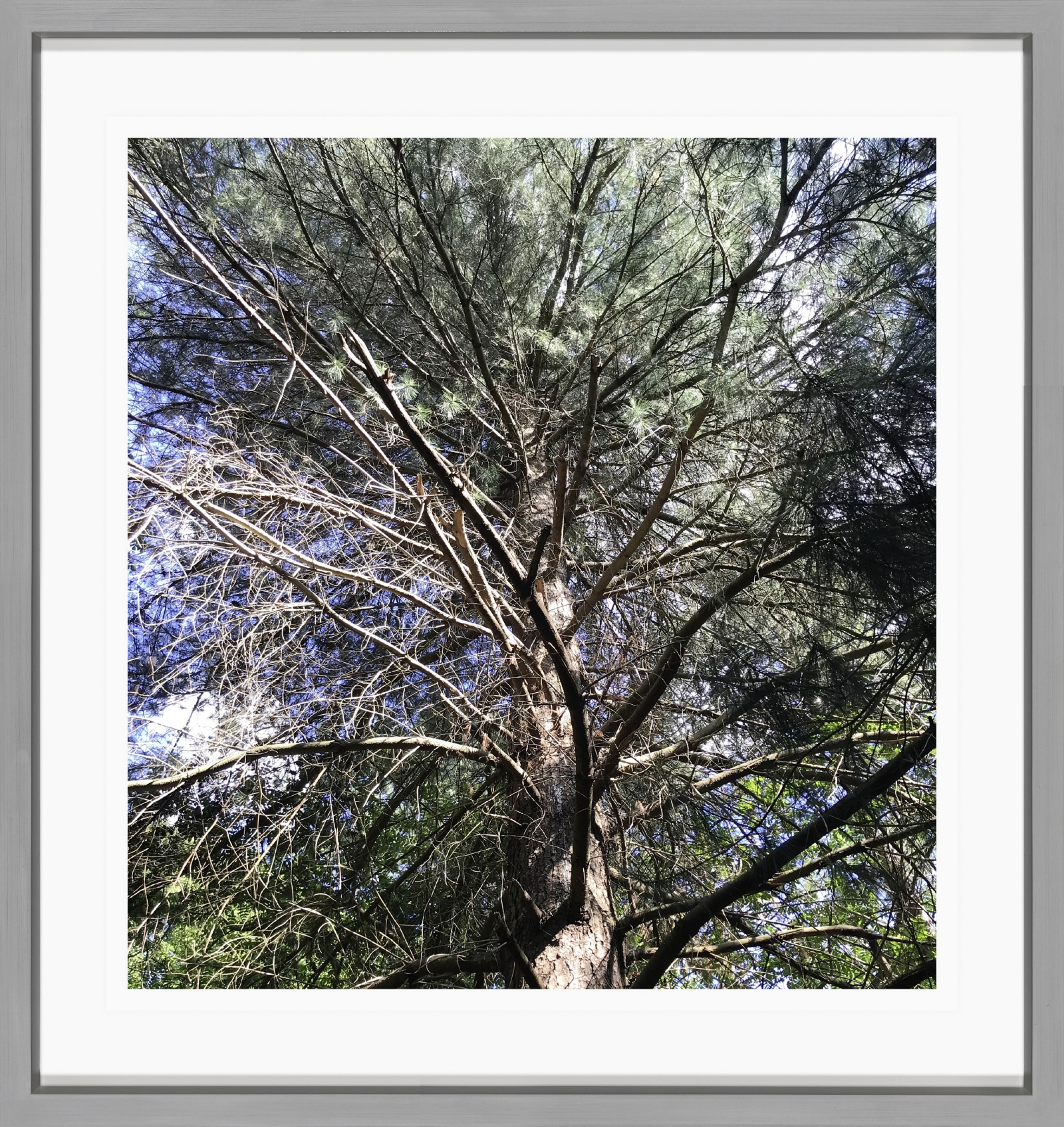 Sabine Moritz 12/6/20202020 Colour Photograph on paper 21 x 20 cm 8 1/4 x 7 7/8 in