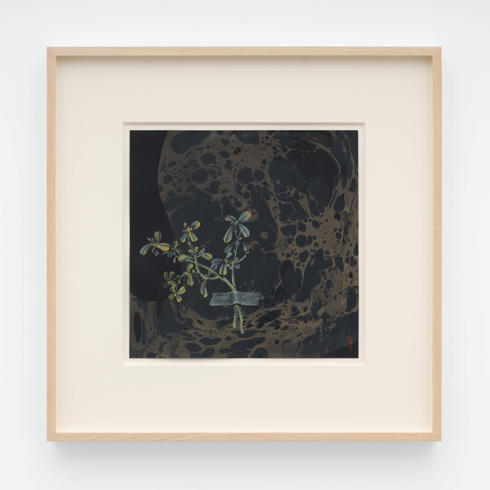 Hayv Kahraman, Barbeen on black, 2024