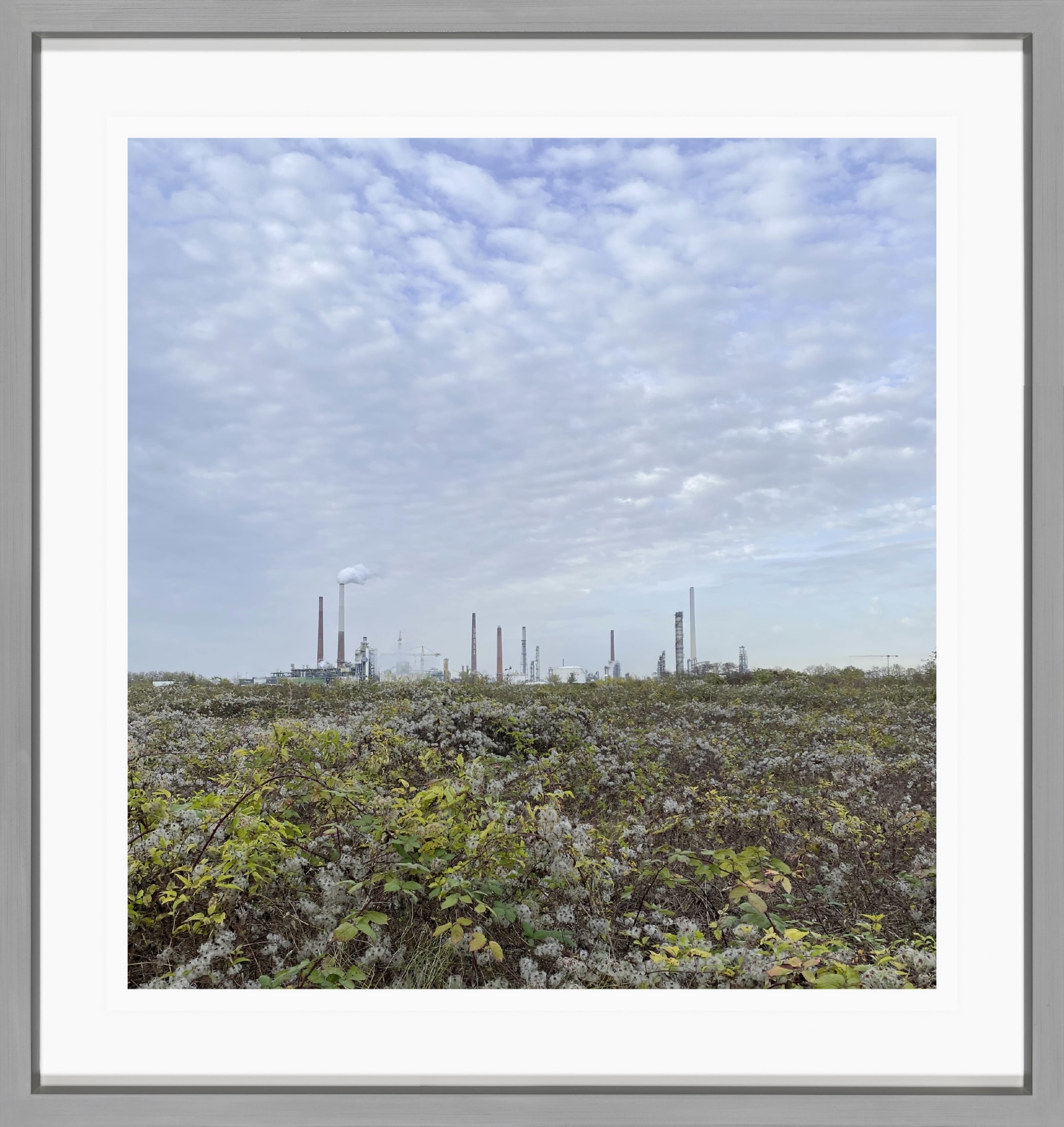 Sabine Moritz 08/11/2020 (2)2020 Colour Photograph on paper 21 x 20 cm 8 1/4 x 7 7/8 in