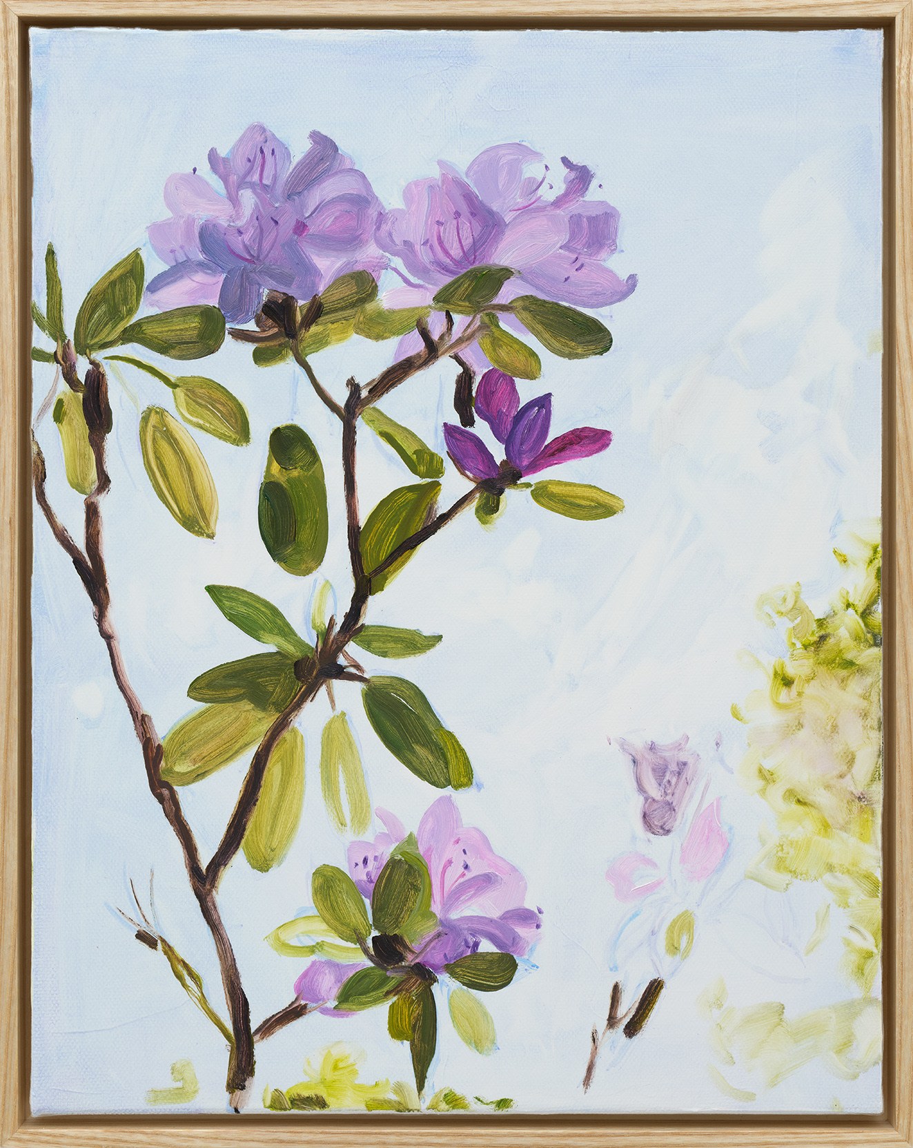 Jordan Casteel Rosebay2024 Oil on canvas 35.6 x 27.9 x 1.9 cm 14 x 11 x 3/4 in