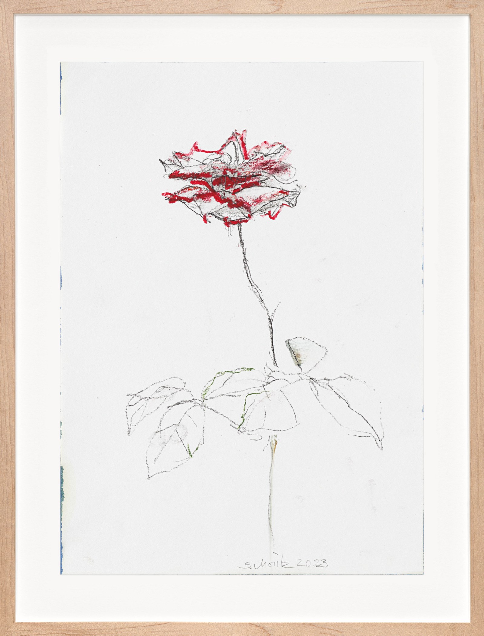 Sabine Moritz Rose 532023 Charcoal, oil crayon on paper Unframed: 29.7 x 21 cm 11 3/4 x 8 1/4 in...