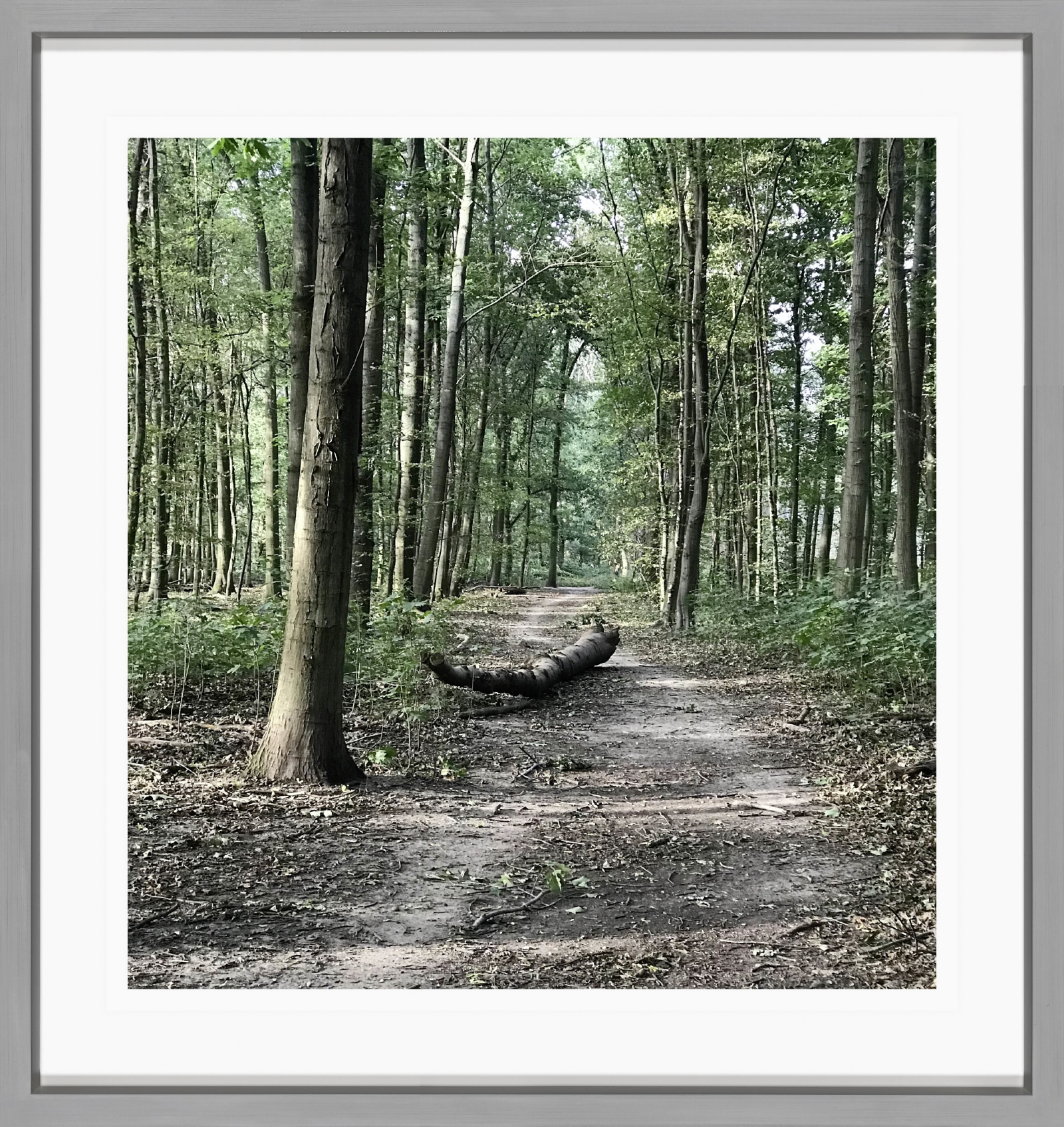 Sabine Moritz 27/08/20202020 Colour Photograph on paper 21 x 20 cm 8 1/4 x 7 7/8 in