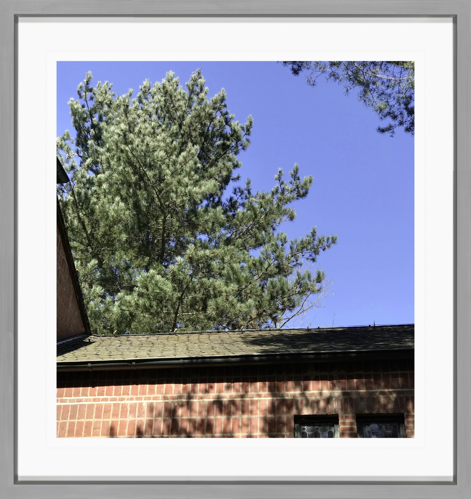 Sabine Moritz 10/04/20202020 Colour Photograph on paper 21 x 20 cm 8 1/4 x 7 7/8 in