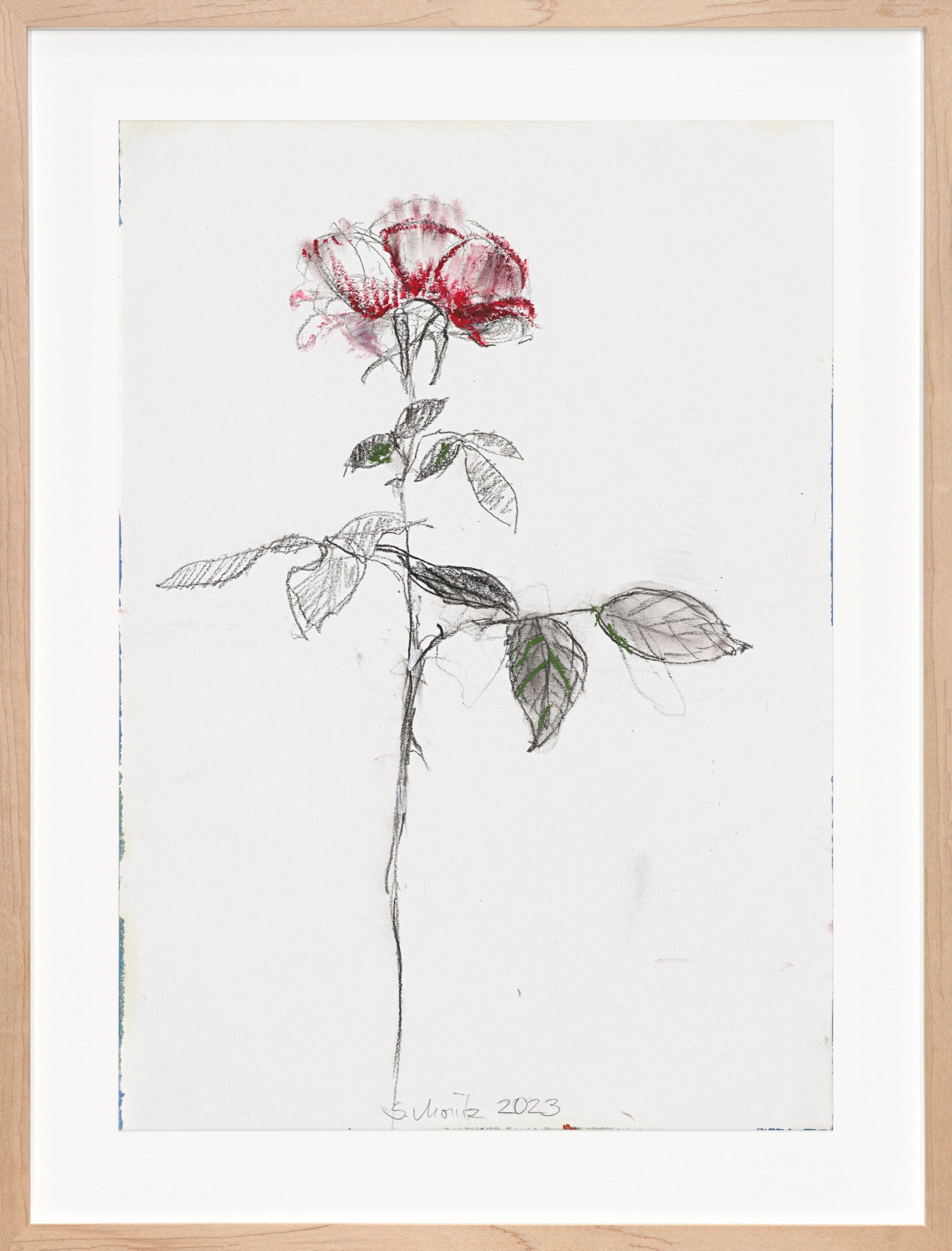Sabine Moritz Rose 542023 Charcoal, oil crayon on paper Unframed: 29.7 x 21 cm 11 3/4 x 8 1/4 in...