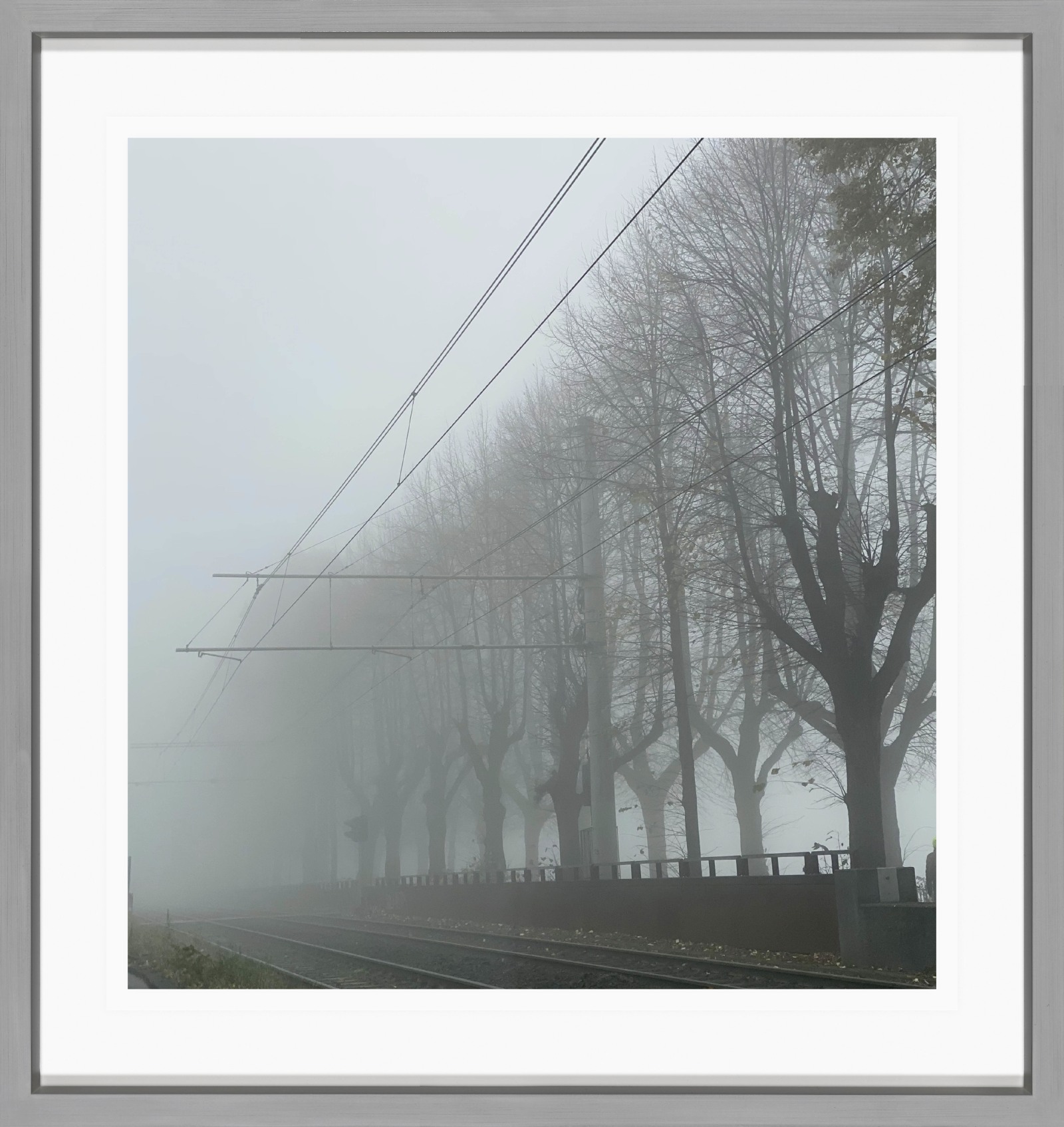 Sabine Moritz 05/11/2020 22020 Colour Photograph on paper 21 x 20 cm 8 1/4 x 7 7/8 in