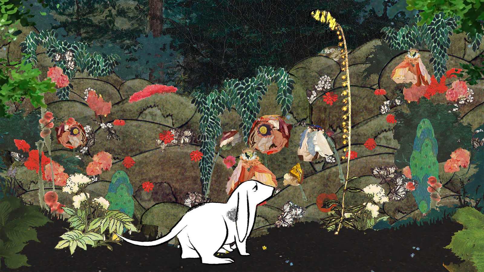 Rachel Rose Lake Valley2016 HD Video 8'25'