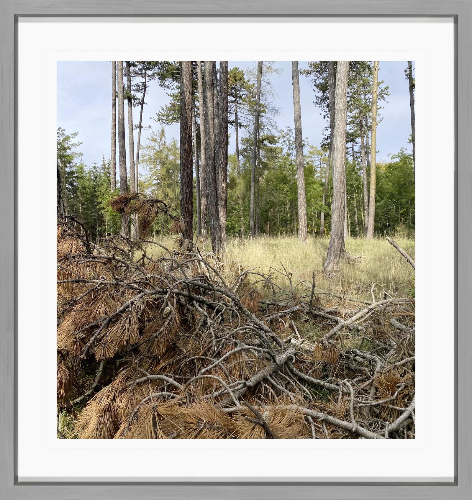 Sabine Moritz 20/10/2020 (1)2020 Colour Photograph on paper 21 x 20 cm 8 1/4 x 7 7/8 in